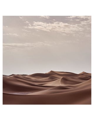 Desert Themed Printed MDF Wall Art Brown/Gray/White 30x30cm - v1601200794/N40372125A_1