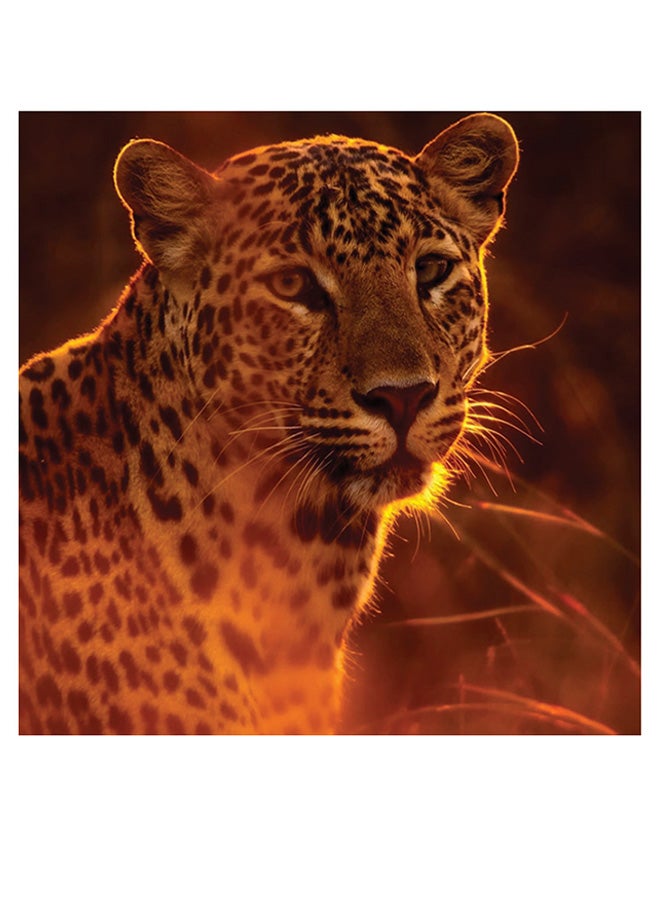 Atiq Leopard Themed Wall Art Orange/Black/Yellow 30x30cm  - Image 1