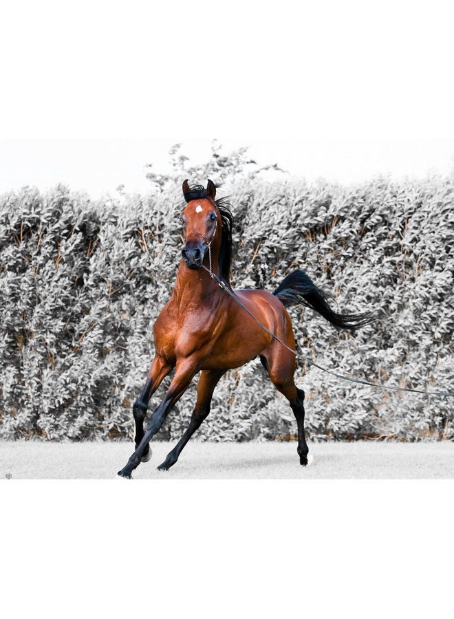 Fast Print - Horse Themed Wall Sticker Brown/White/Black 140x105cm - Image 1