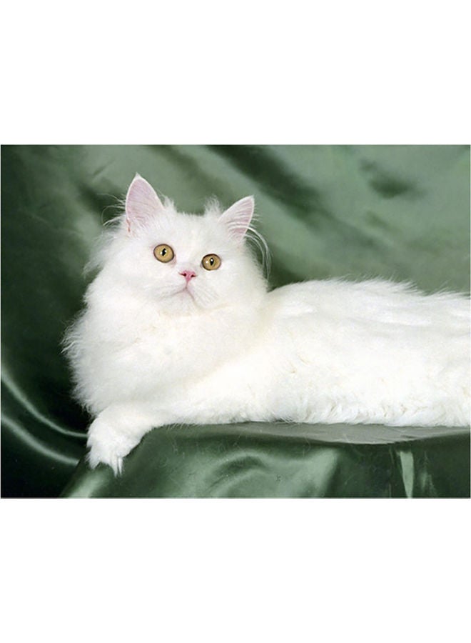 Fast Print Cat Themed Self Adhesive Wall Sticker White/Grey 140x105cm