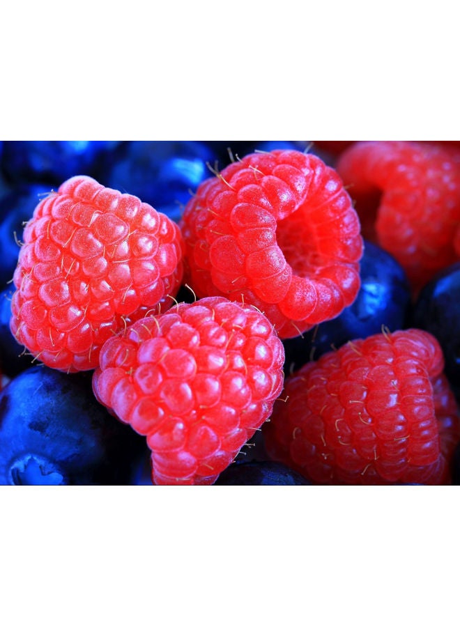 فاست برينت ملصق جداري ذاتي اللصق بطابع توت العليق أزرق وردي 140x105سم