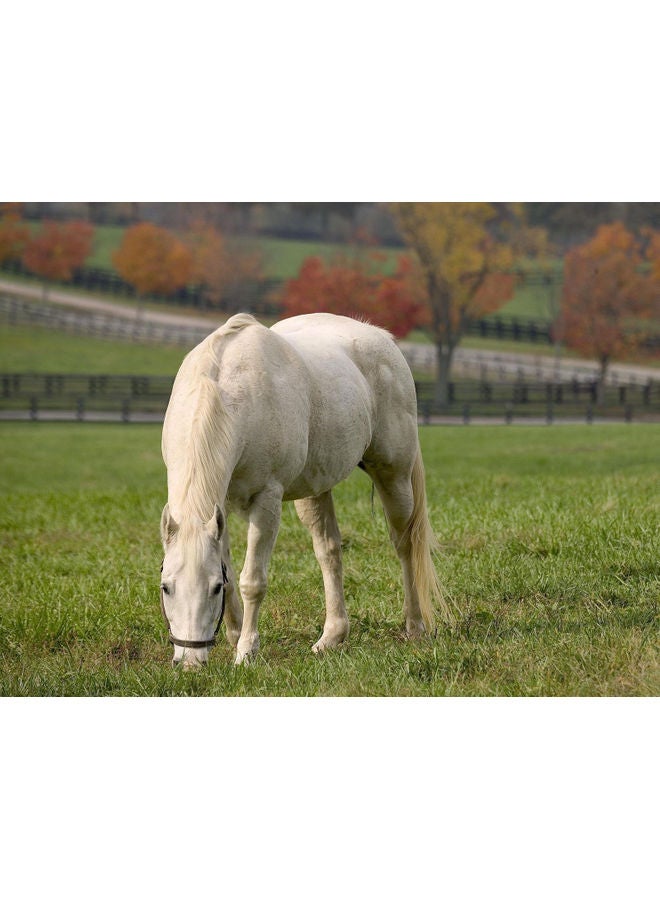 Horse Themed Self Adhesive Wall Sticker Green/White/Red 140x105cm