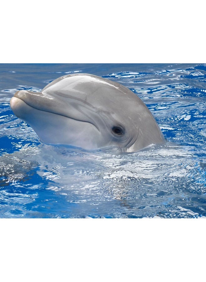 ملصق جداري ذاتي اللصق بتصميم دولفين أزرق/رمادي 140x105سم
