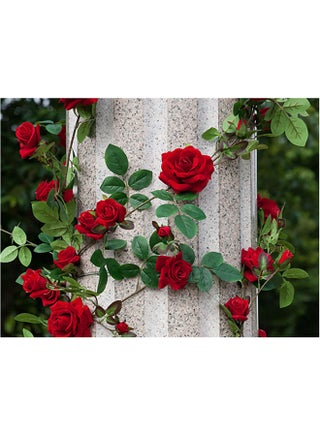 Roses Themed Self Adhesive Wall Sticker Beige/Red/Green 140x105cm - v1601260556/N40809685A_1