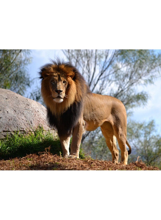 Fast Print - Lion Printed Self Adhesive Wall Sticker Brown/Grey/Green 140x105cm - Image 1