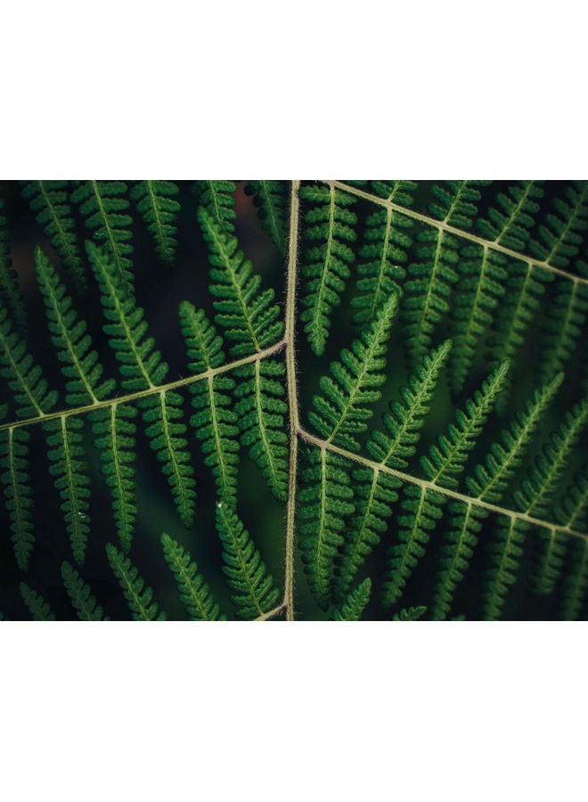 فاست برينت ملصق جداري ذاتي اللصق بطبعة ورق السرخس أخضر/أسود 140x105سم