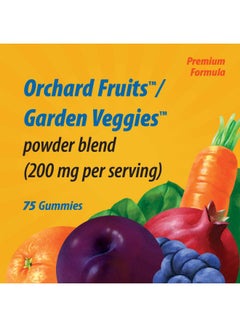 Nature's Way Alive! Gummy Multivitamin - 60 Gummies  - Image 2