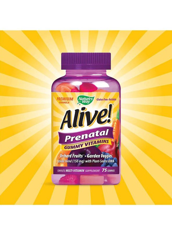 Nature's Way - Alive! Prenatal Multi-Vitamin With Plant DHA Dietary Supplement - 75 Gummies - Image 1
