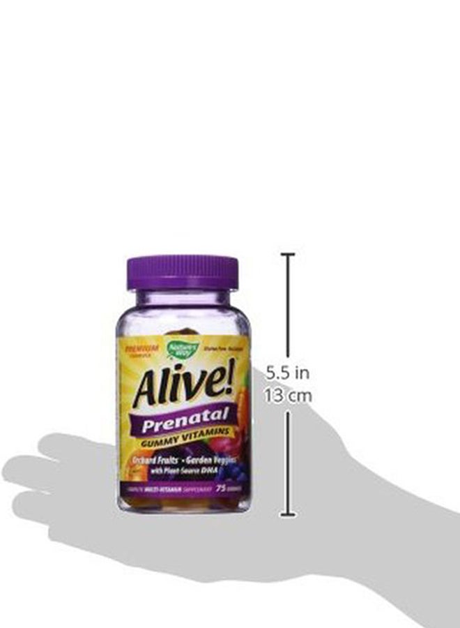 Nature's Way - Alive! Prenatal Multi-Vitamin With Plant DHA Dietary Supplement - 75 Gummies - Image 1