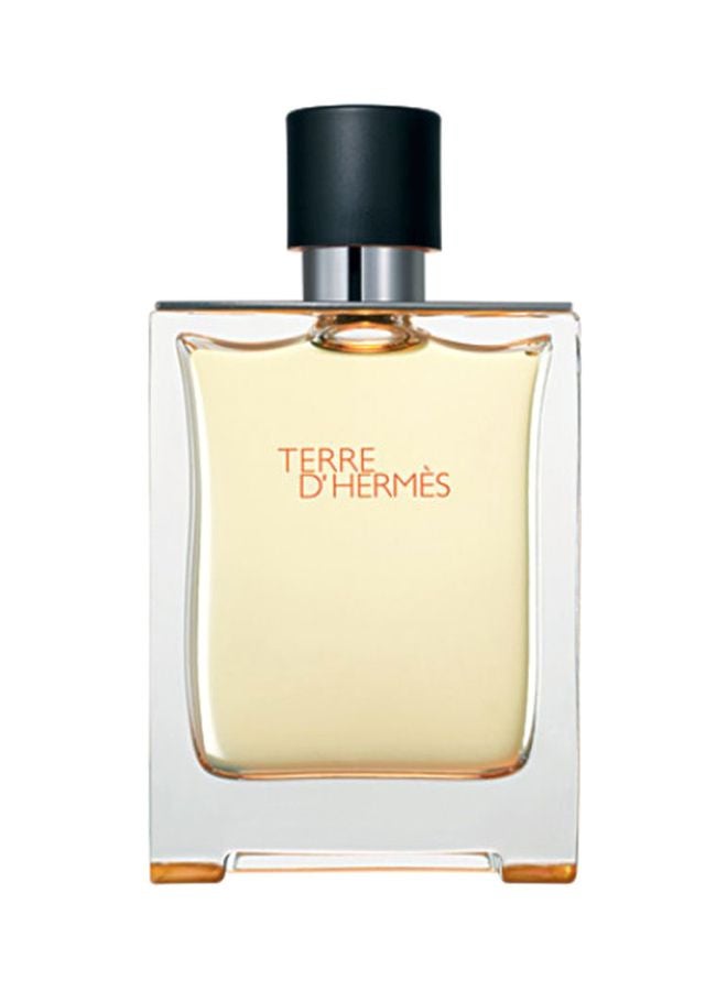 HERMES - Terre D' Hermes EDT 100ml - Image 1