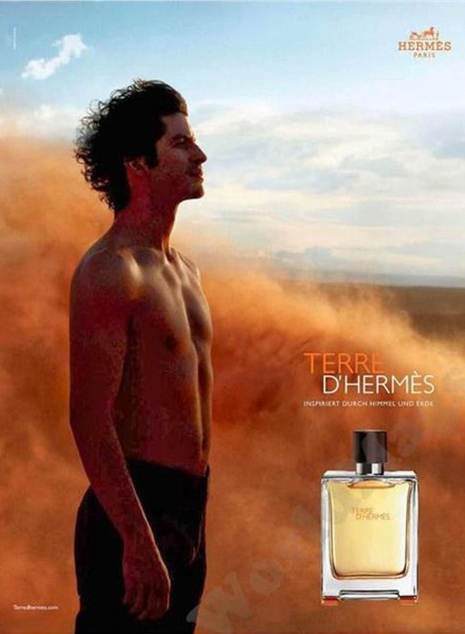 HERMES Terre D'Hermes EDT 100ml  - Image 5
