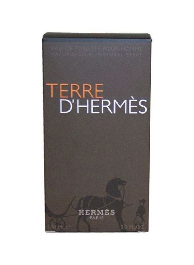 HERMES - Terre D' Hermes EDT 100ml - Image 1