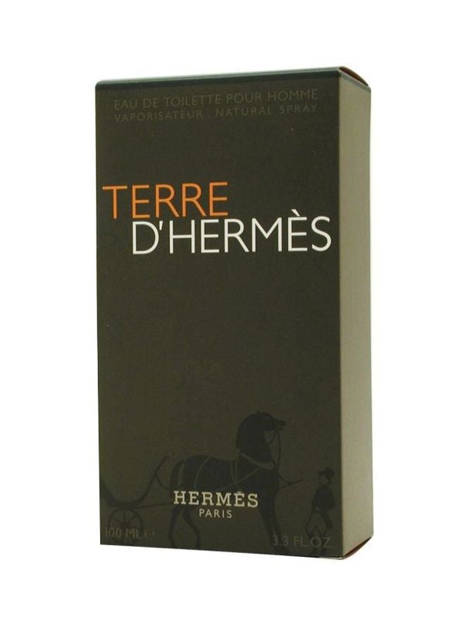 HERMES Terre D'Hermes EDT 100ml  - Image 3