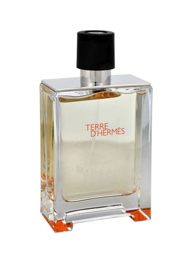 HERMES Terre D'Hermes EDT 100ml  - Image 4