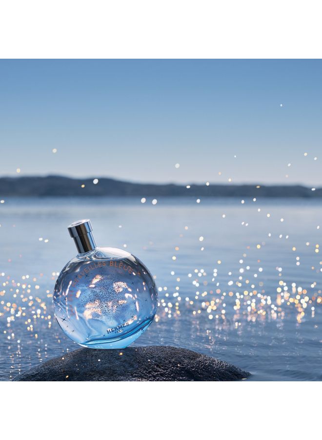 HERMES - Eau Des Merveilles Bleue EDT 100ml - Image 1