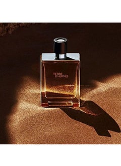 HERMES Terre D' Hermes EDP 200ml  - Image 4