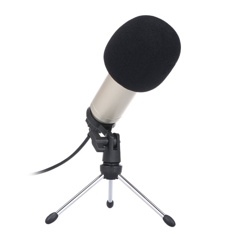 BM830 USB Professional Condenser Microphone with Folding Stand Tripod LU-V5-144 Silver - Image 1