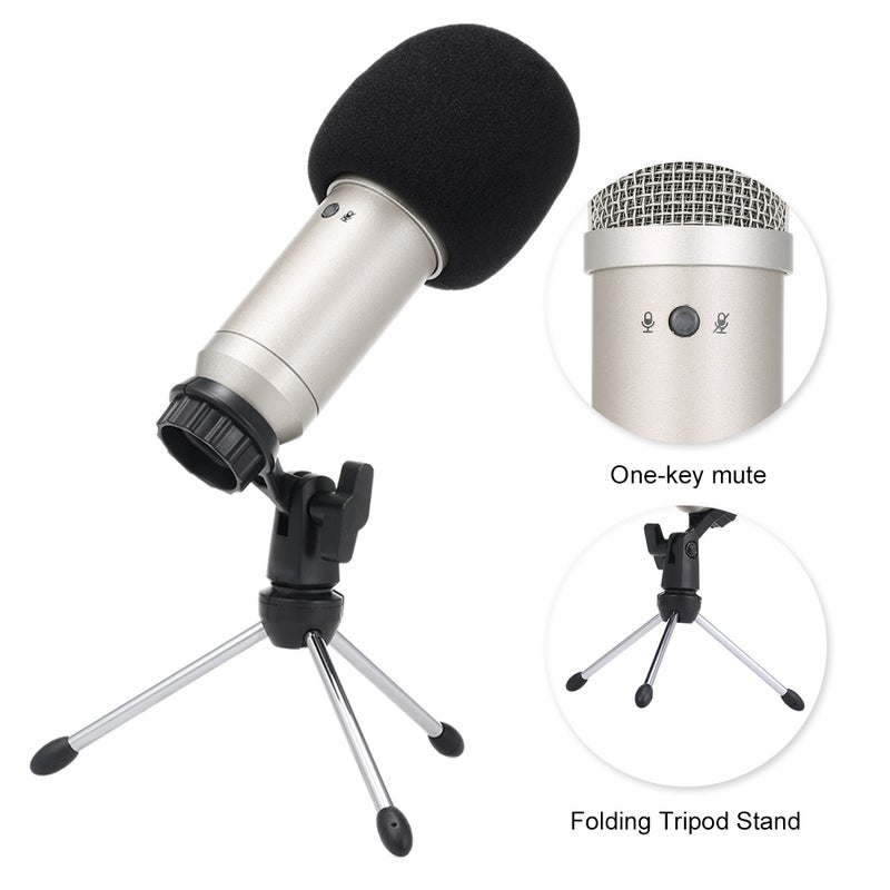 BM830 USB Professional Condenser Microphone with Folding Stand Tripod LU-V5-144 Silver - Image 4