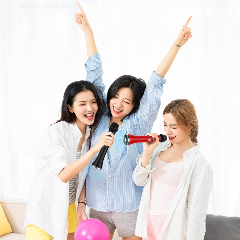 2 in 1 Karaoke Wireless Bluetooth Handheld Microphone Black