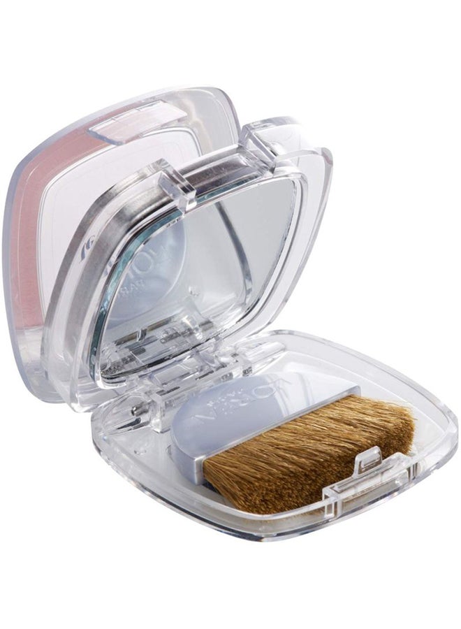 L'OREAL PARIS - True Match Blush 165 Rose Bonne Mine - Image 1