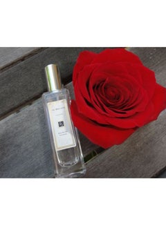 jo Malone Red Roses Cologne 30ml  - Image 4