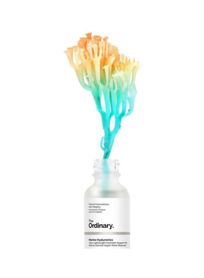 The Ordinary - Marine Hyaluronics Serum 30ml - Image 1