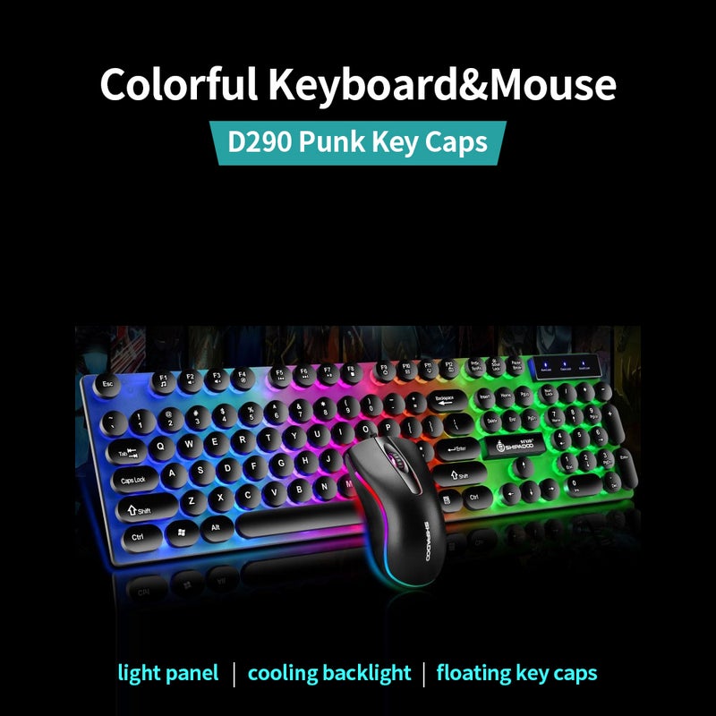 D290 USB Wired RGB Backlight Punk Keyboard With Colorful 3D Mouse For Laptop/PC - English  - Image 2