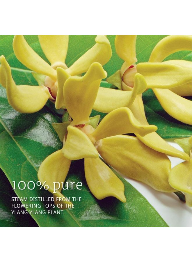 Now Foods Ylang Ylang Oil 30ml - Image 4