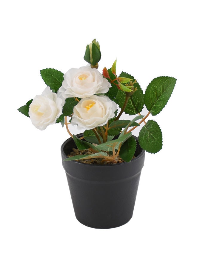 DRAMA HOME - Artificial Potted Plant Multicolour 16x9cm - Image 1