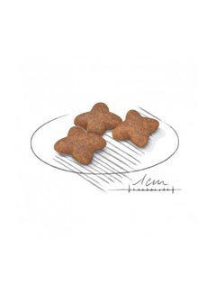 ROYAL CANIN Health Nutrition Mini Adult Dry Food 8kg  - Image 4
