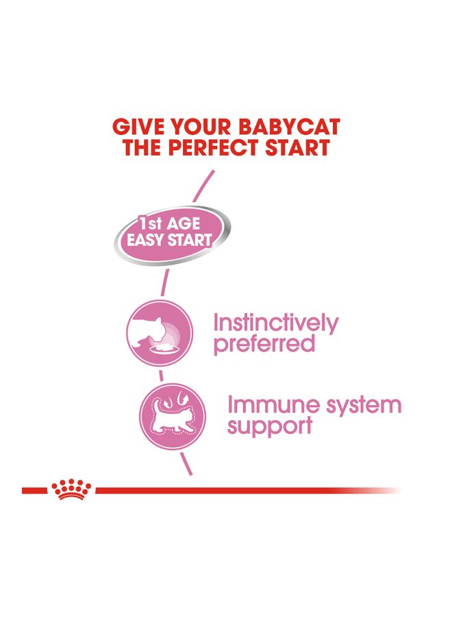 رويال كانين طعام القطط بيبي كات انستينكتف 165جرام - Image 4