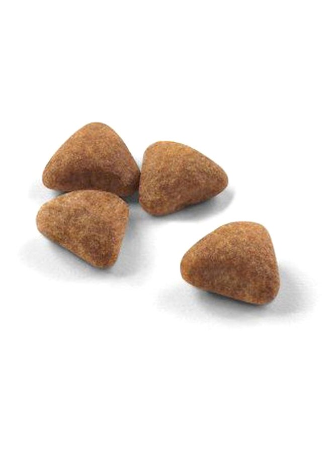 ROYAL CANIN Indoor 27 Feline Health Nutrition 2kg - Image 2