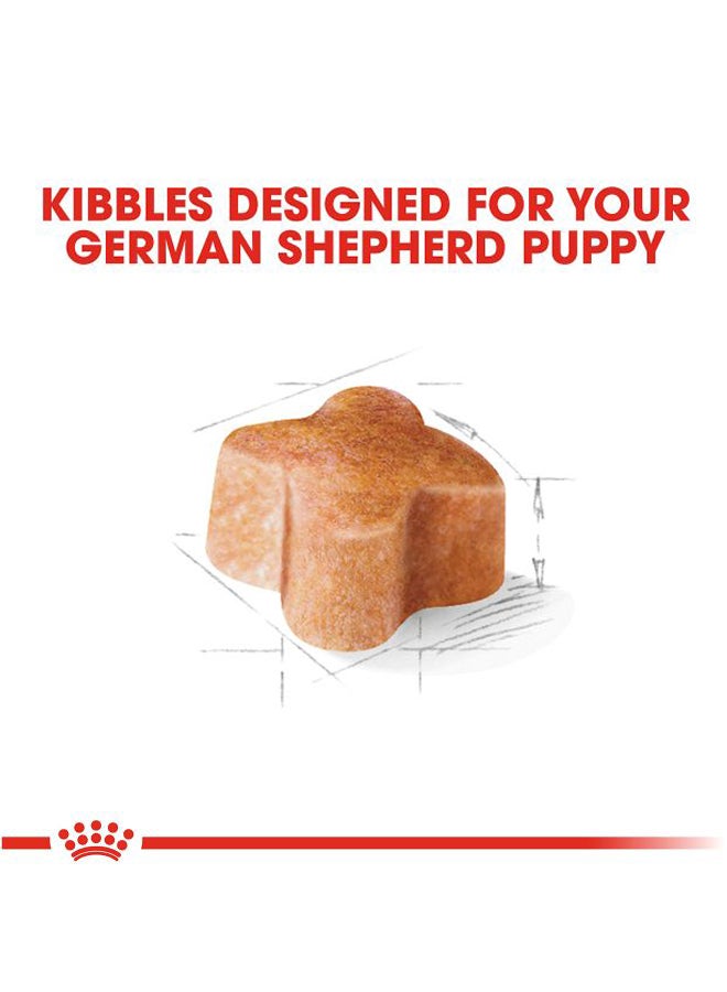 رويال كانين طعام جاف لجرو الراعي الألماني - Image 2