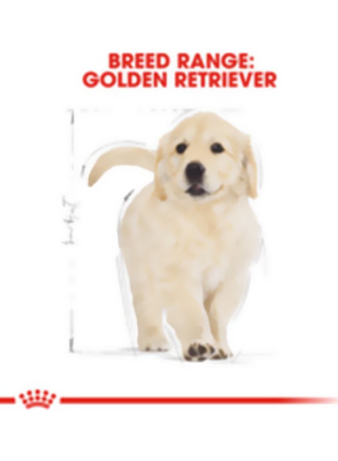 رويال كانين طعام صحي للكلاب لتغذية فصيلة ريتريفر الذهبية حديثة السن 12كيلوجرام - Image 2