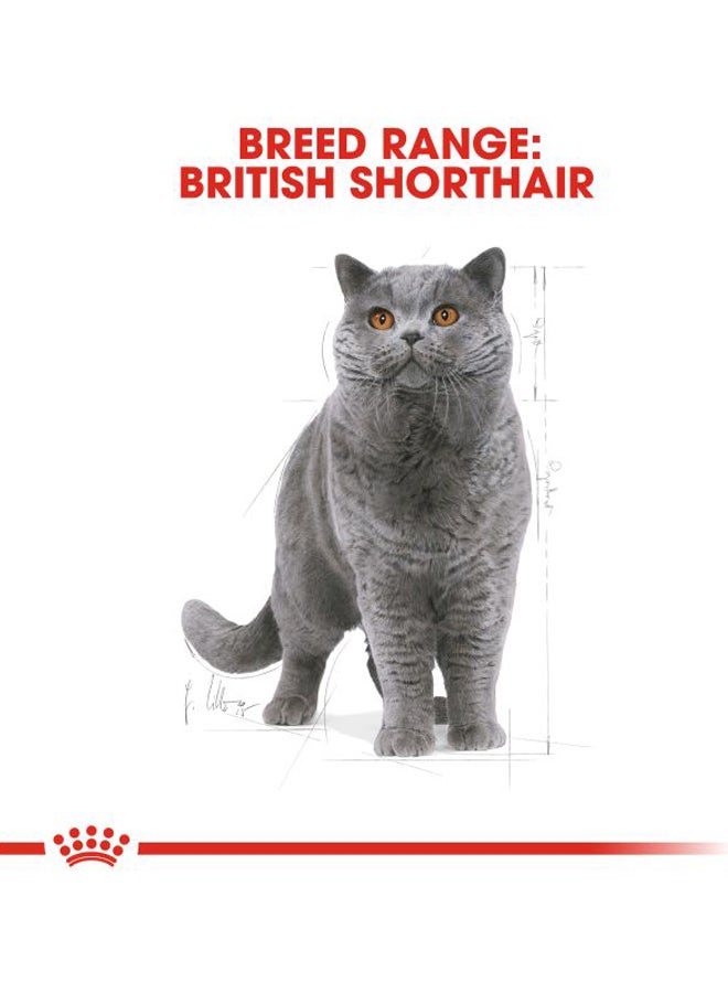 رويال كانين طعام جاف بريتش شورت هير للقطط البالغة بني 4كيلوجرام - Image 2