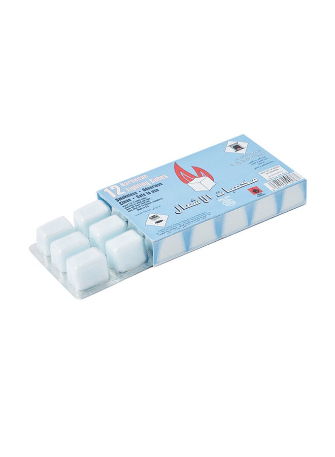 Home Box 12-Piece Faire Barbeque Lighting Cubes Blue 19centimeter  - Image 1