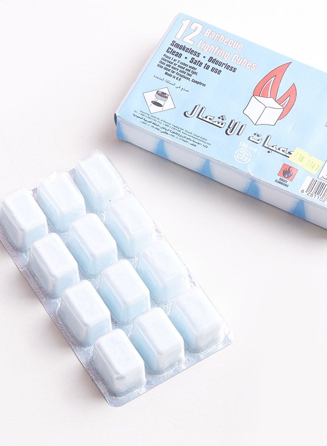 Home Box 12-Piece Faire Barbeque Lighting Cubes Blue 19centimeter  - Image 2