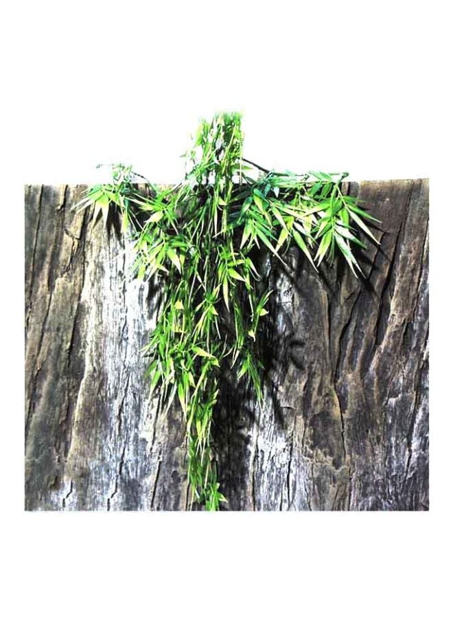 Terraplanta Madagascan Bamboo Green/Brown Medium