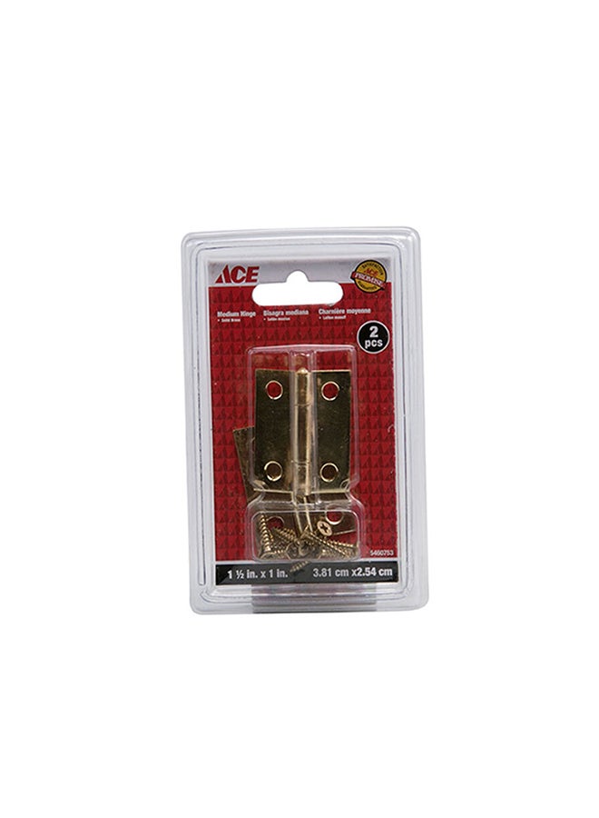 ACE Pack Of 2 Medium Hinge Gold 