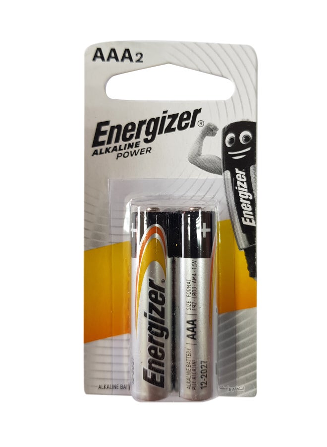 Energizer 2-Piece Alkaline Aaa Battery Silver/Black - Image 1