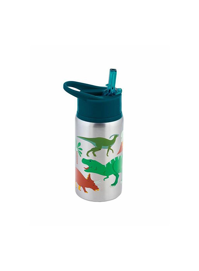 Stephen Joseph Stainless Steel Water Bottle , Dino multicolour 0cm
