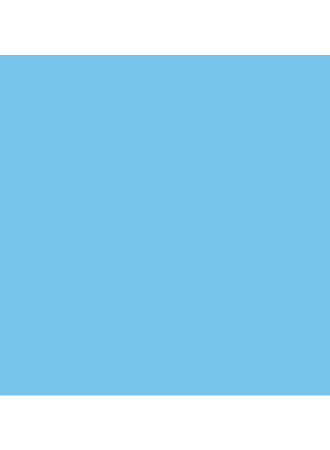 RUST-OLEUM Professional Traffic Striping Paint Mark Handicap Blue  - Image 2