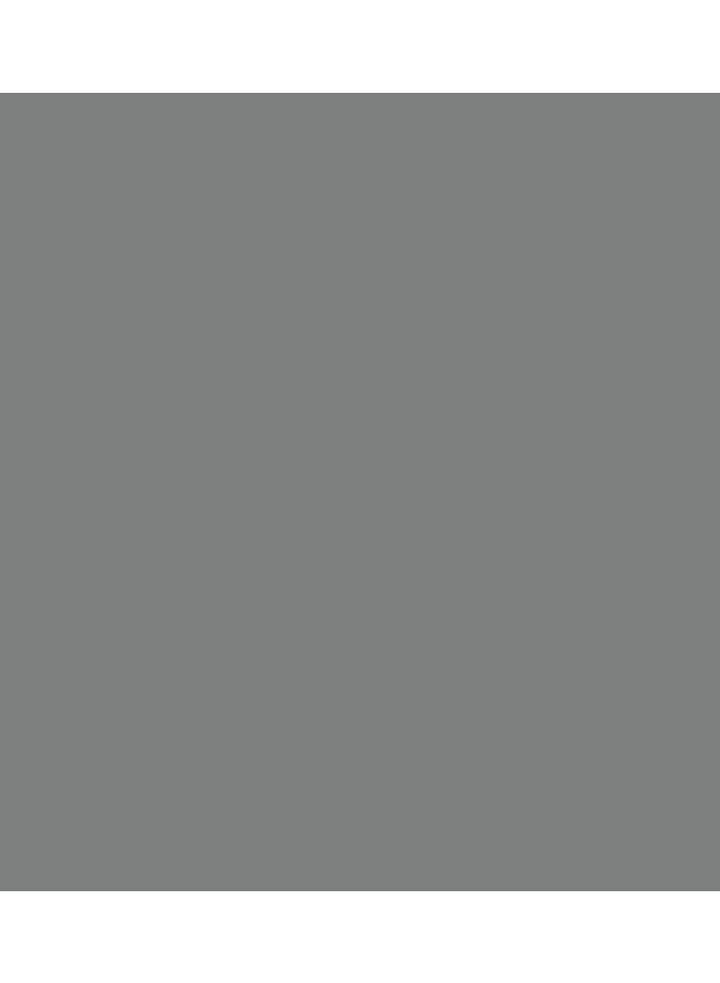 RUST-OLEUM Professional Galvanizing Compound Spray Clear  - Image 2