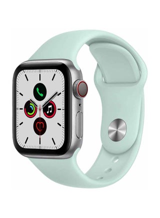 Seafoam Green/Silver