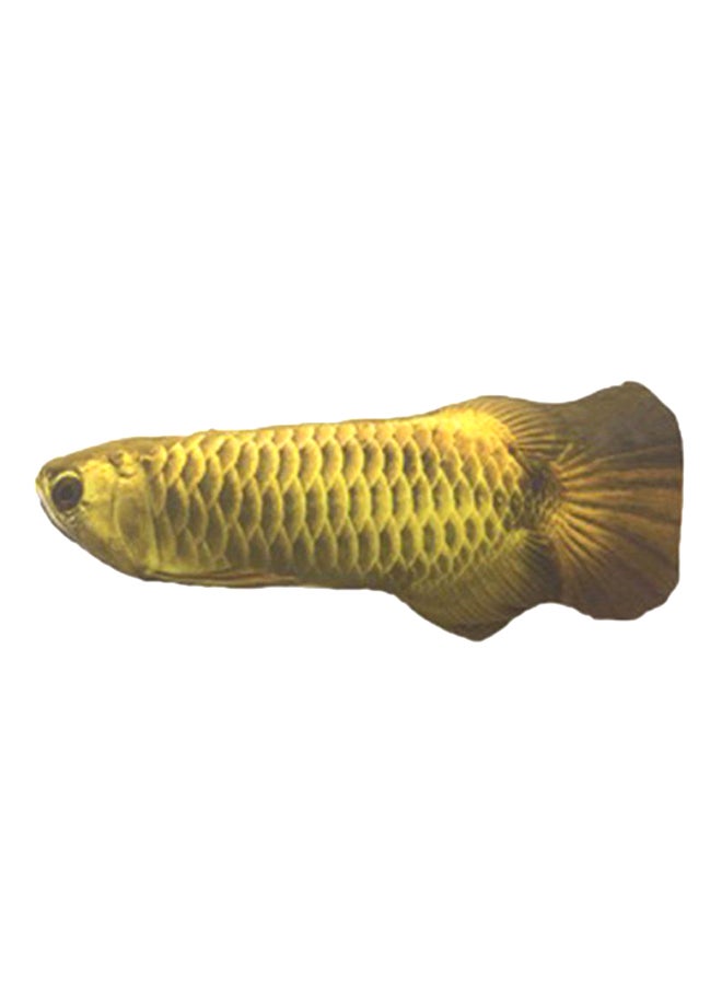 OUTAD Catnip Catmint Fish Shape Short Plush Toy Gold 20centimeter  - Image 1