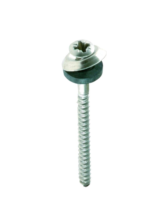 suki Stainless Steel Screw With Washer Silver