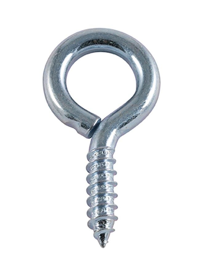 ACE 2-Piece Head Eye Screws Silver - Image 1