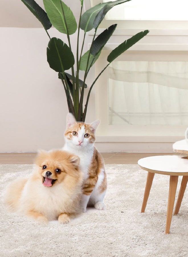 لعبة Shake Chubby Rat المضحكة للحيوانات الأليفة بني 7.5x6.5x5.5سم - Image 1