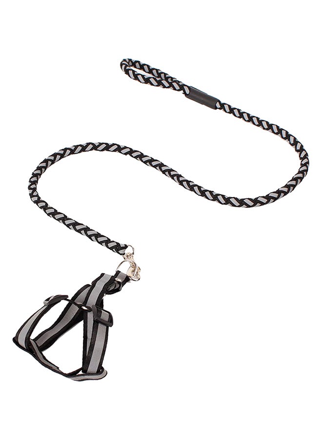 Reflective Dog Leash Black/Grey 15x12x2cm - Image 1