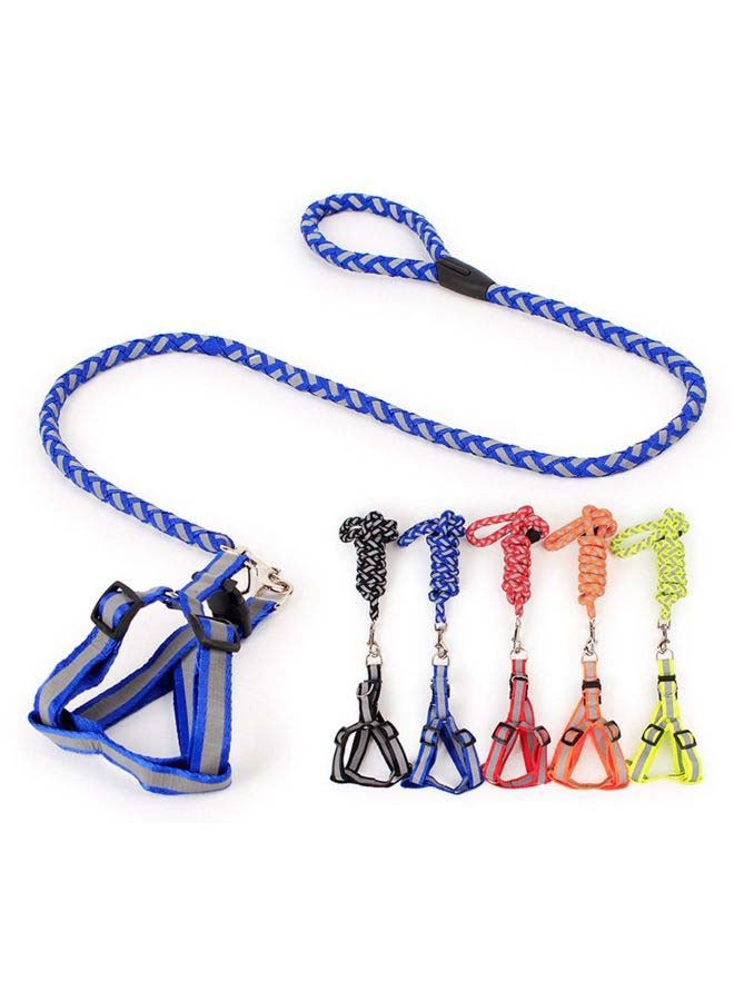 Reflective Dog Leash Black/Grey 15x12x2cm - Image 3